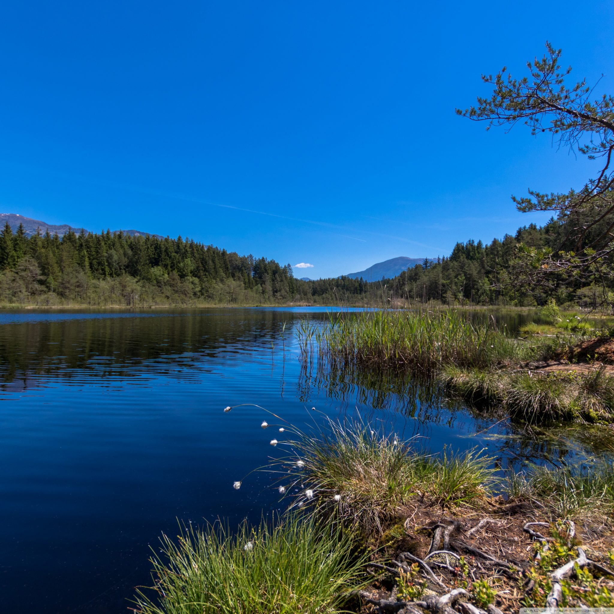 Egelsee Nature Wallpaper For Desktop Full Size – HD Wallpapers Backgrounds Images